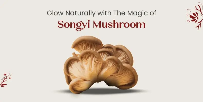 Reveal the skin benefits of Songyi Mushroom